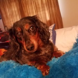 Meet your Posher, Nancy